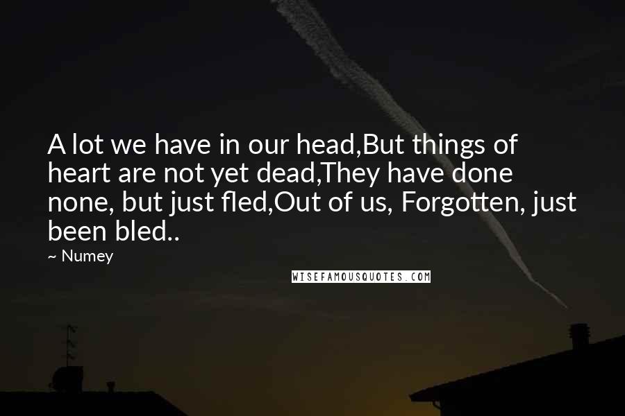 Numey Quotes: A lot we have in our head,But things of heart are not yet dead,They have done none, but just fled,Out of us, Forgotten, just been bled..