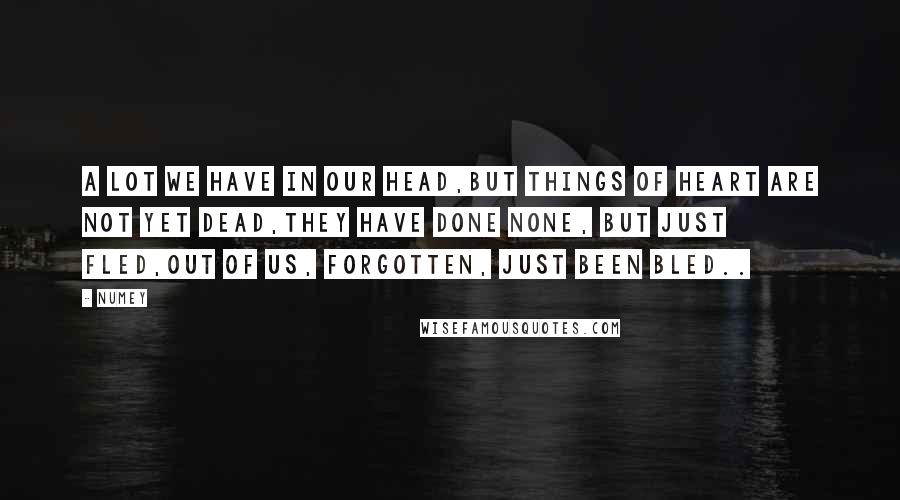 Numey Quotes: A lot we have in our head,But things of heart are not yet dead,They have done none, but just fled,Out of us, Forgotten, just been bled..