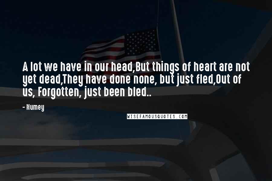 Numey Quotes: A lot we have in our head,But things of heart are not yet dead,They have done none, but just fled,Out of us, Forgotten, just been bled..