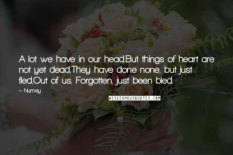 Numey Quotes: A lot we have in our head,But things of heart are not yet dead,They have done none, but just fled,Out of us, Forgotten, just been bled..