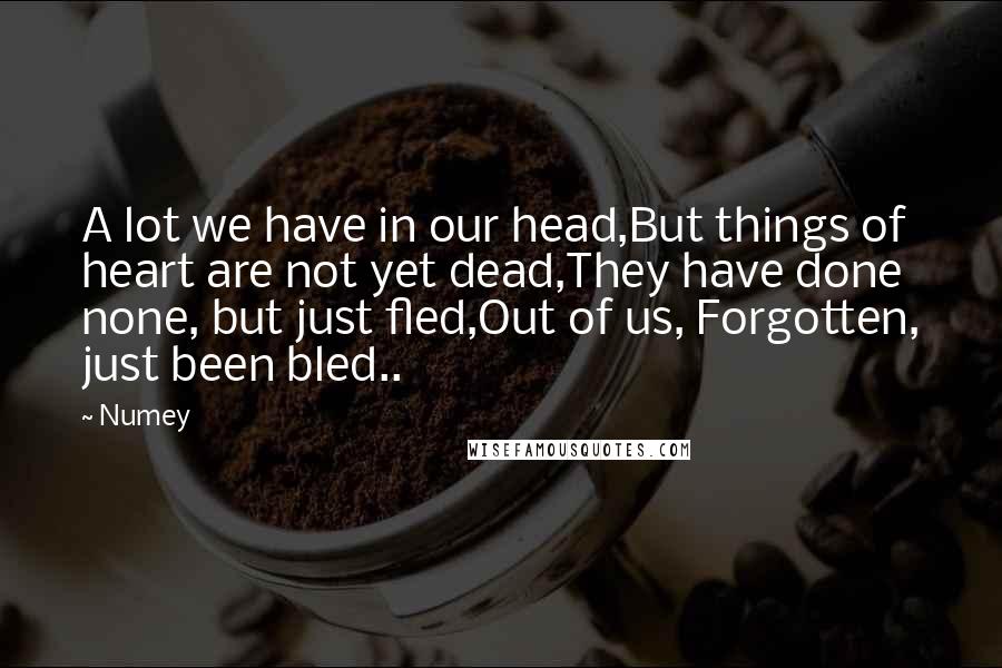 Numey Quotes: A lot we have in our head,But things of heart are not yet dead,They have done none, but just fled,Out of us, Forgotten, just been bled..