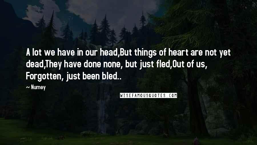 Numey Quotes: A lot we have in our head,But things of heart are not yet dead,They have done none, but just fled,Out of us, Forgotten, just been bled..