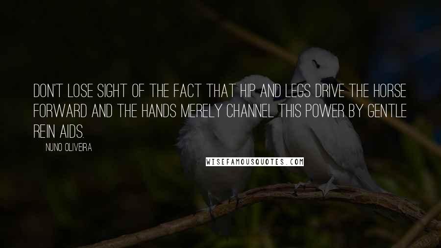 Nuno Oliveira Quotes: Don't lose sight of the fact that hip and legs drive the horse forward and the hands merely channel this power by gentle rein aids.