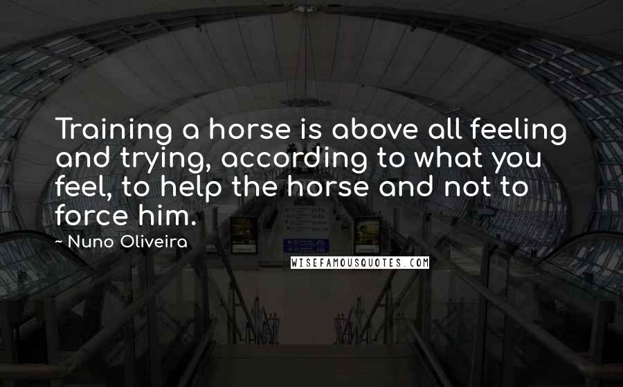 Nuno Oliveira Quotes: Training a horse is above all feeling and trying, according to what you feel, to help the horse and not to force him.