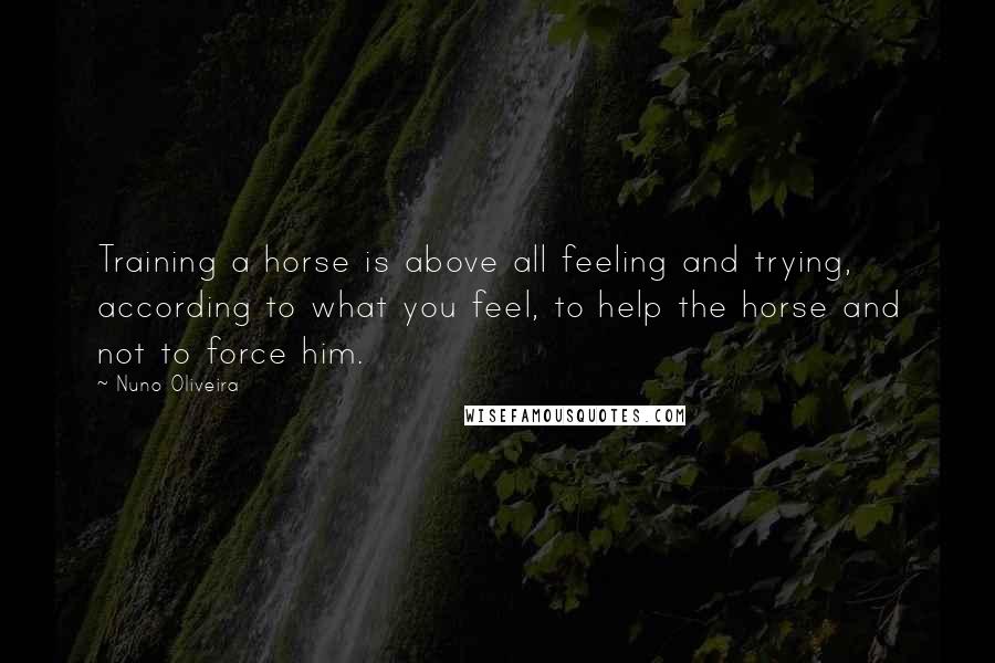 Nuno Oliveira Quotes: Training a horse is above all feeling and trying, according to what you feel, to help the horse and not to force him.
