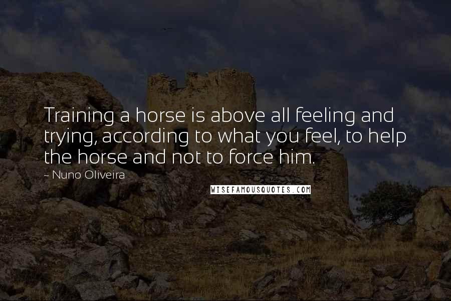 Nuno Oliveira Quotes: Training a horse is above all feeling and trying, according to what you feel, to help the horse and not to force him.
