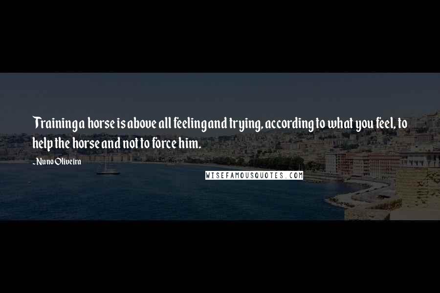 Nuno Oliveira Quotes: Training a horse is above all feeling and trying, according to what you feel, to help the horse and not to force him.