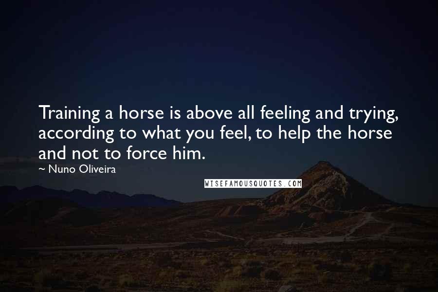 Nuno Oliveira Quotes: Training a horse is above all feeling and trying, according to what you feel, to help the horse and not to force him.