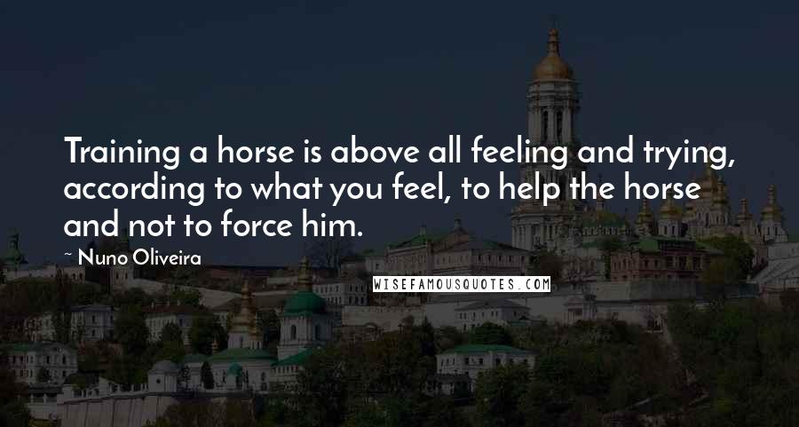 Nuno Oliveira Quotes: Training a horse is above all feeling and trying, according to what you feel, to help the horse and not to force him.