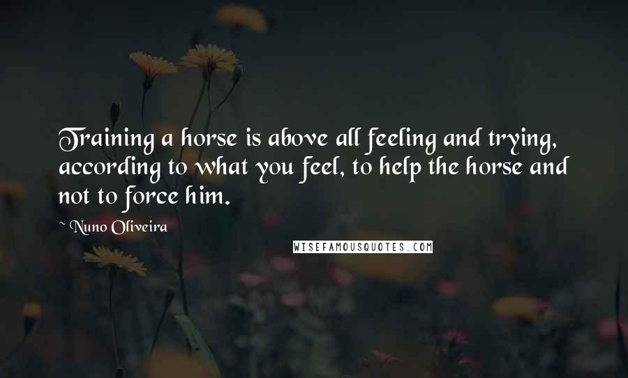 Nuno Oliveira Quotes: Training a horse is above all feeling and trying, according to what you feel, to help the horse and not to force him.