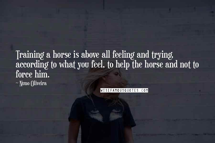Nuno Oliveira Quotes: Training a horse is above all feeling and trying, according to what you feel, to help the horse and not to force him.