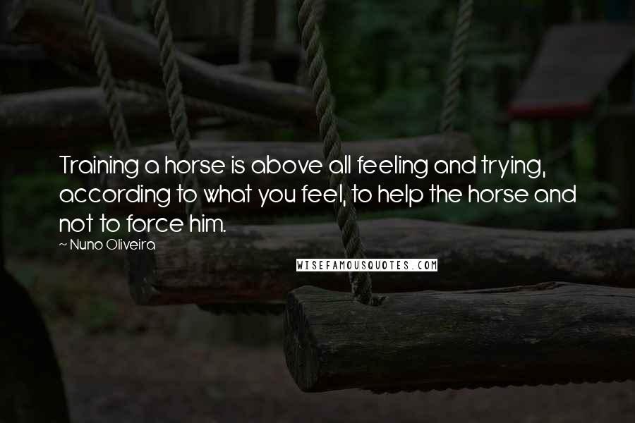 Nuno Oliveira Quotes: Training a horse is above all feeling and trying, according to what you feel, to help the horse and not to force him.