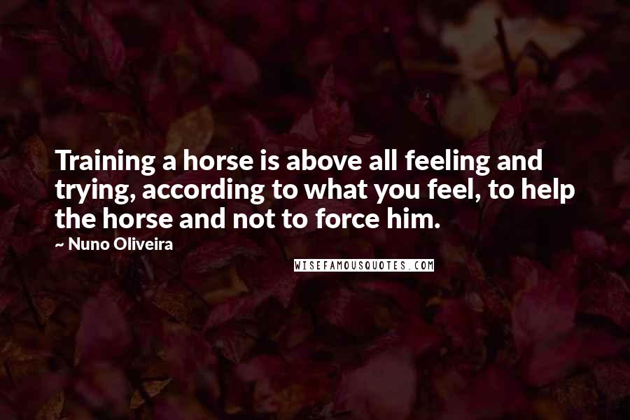 Nuno Oliveira Quotes: Training a horse is above all feeling and trying, according to what you feel, to help the horse and not to force him.