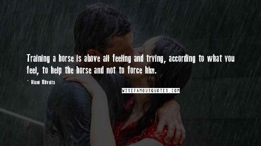 Nuno Oliveira Quotes: Training a horse is above all feeling and trying, according to what you feel, to help the horse and not to force him.