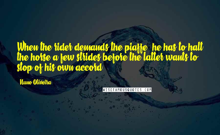 Nuno Oliveira Quotes: When the rider demands the piaffe, he has to halt the horse a few strides before the latter wants to stop of his own accord.