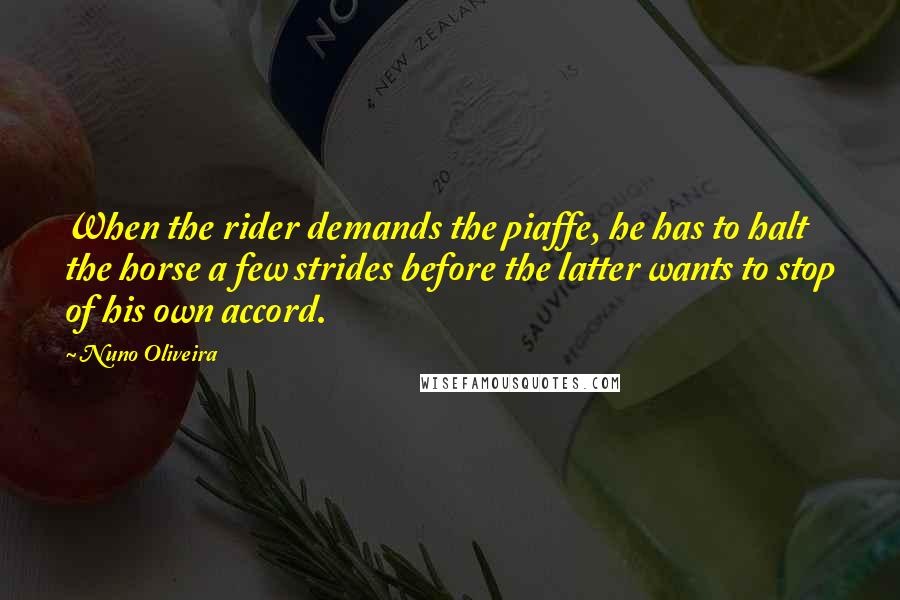 Nuno Oliveira Quotes: When the rider demands the piaffe, he has to halt the horse a few strides before the latter wants to stop of his own accord.