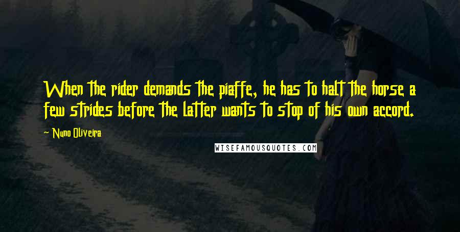 Nuno Oliveira Quotes: When the rider demands the piaffe, he has to halt the horse a few strides before the latter wants to stop of his own accord.