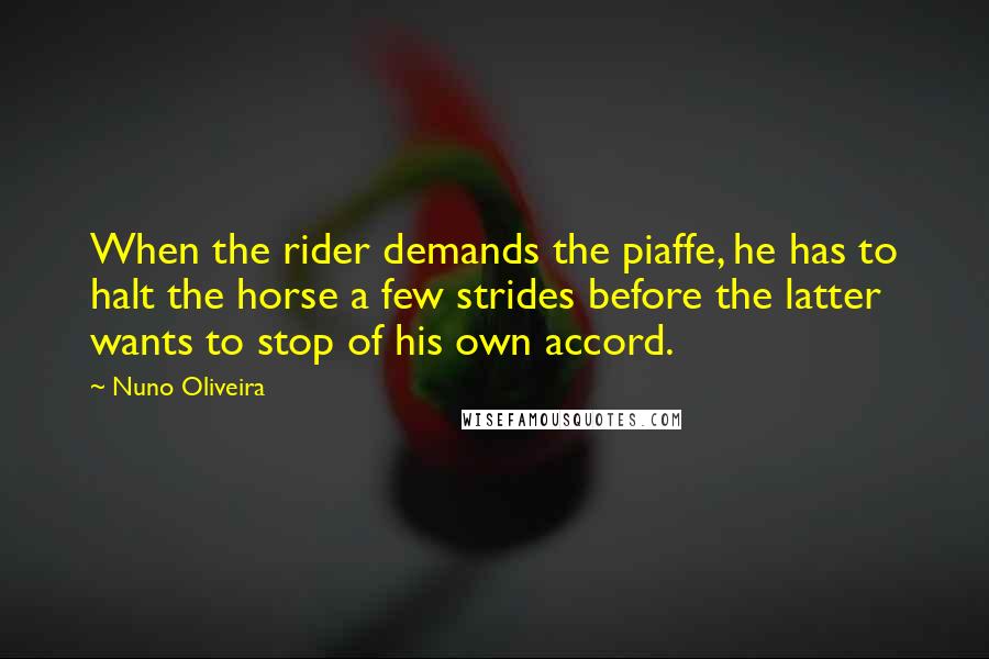 Nuno Oliveira Quotes: When the rider demands the piaffe, he has to halt the horse a few strides before the latter wants to stop of his own accord.