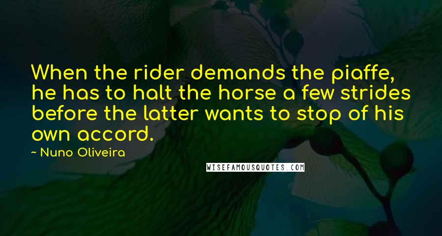 Nuno Oliveira Quotes: When the rider demands the piaffe, he has to halt the horse a few strides before the latter wants to stop of his own accord.