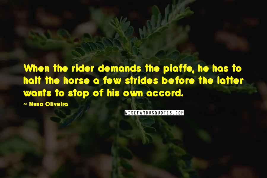 Nuno Oliveira Quotes: When the rider demands the piaffe, he has to halt the horse a few strides before the latter wants to stop of his own accord.