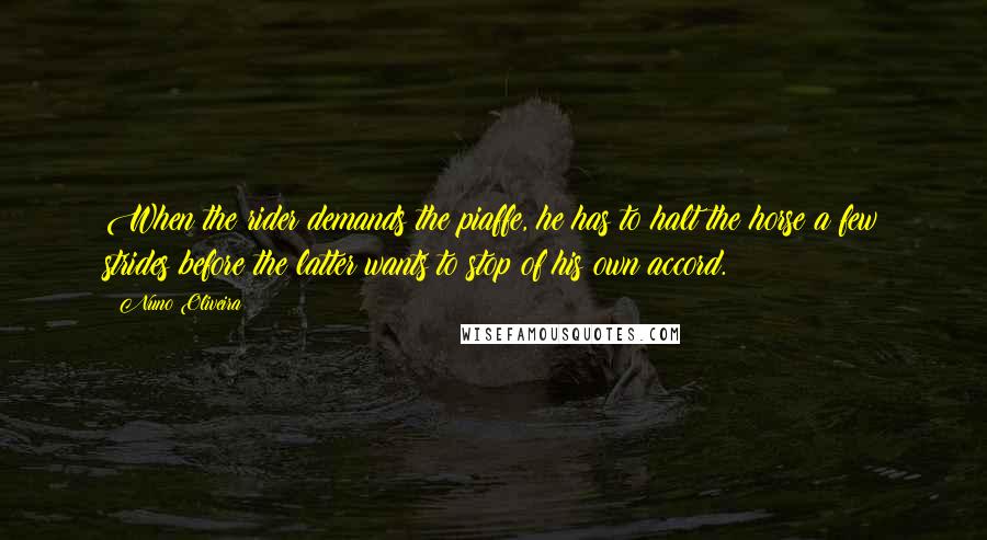 Nuno Oliveira Quotes: When the rider demands the piaffe, he has to halt the horse a few strides before the latter wants to stop of his own accord.