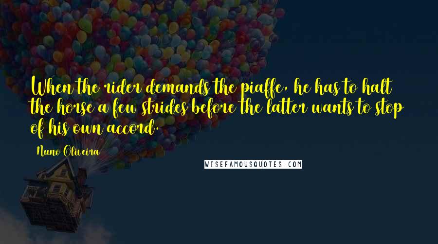 Nuno Oliveira Quotes: When the rider demands the piaffe, he has to halt the horse a few strides before the latter wants to stop of his own accord.