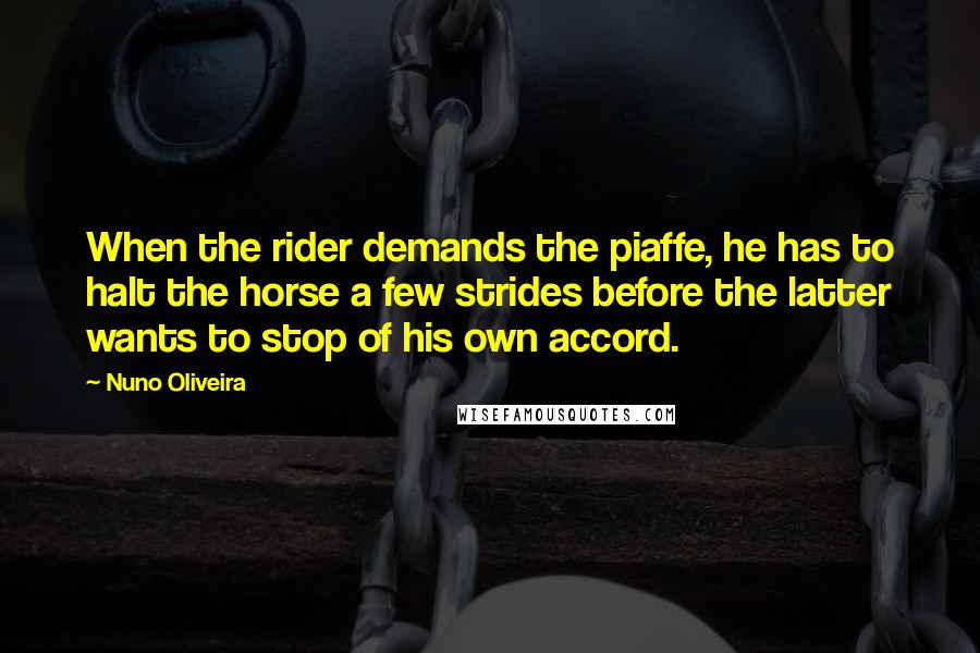 Nuno Oliveira Quotes: When the rider demands the piaffe, he has to halt the horse a few strides before the latter wants to stop of his own accord.