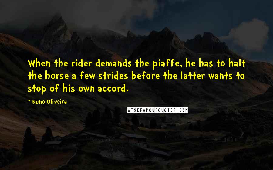 Nuno Oliveira Quotes: When the rider demands the piaffe, he has to halt the horse a few strides before the latter wants to stop of his own accord.