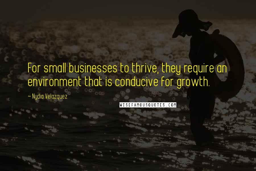 Nydia Velazquez Quotes: For small businesses to thrive, they require an environment that is conducive for growth.