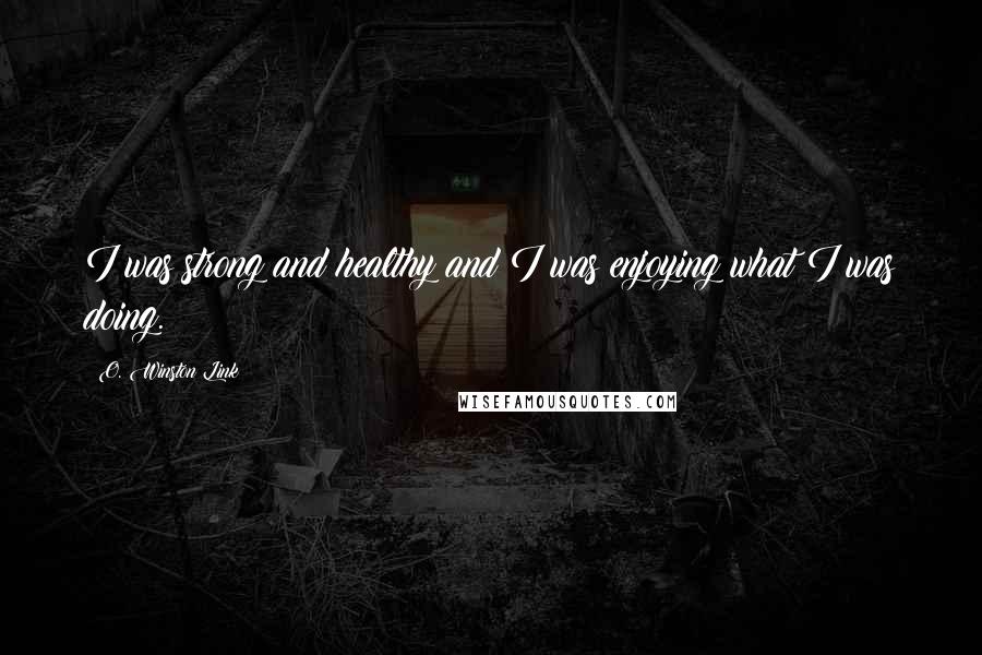 O. Winston Link Quotes: I was strong and healthy and I was enjoying what I was doing.