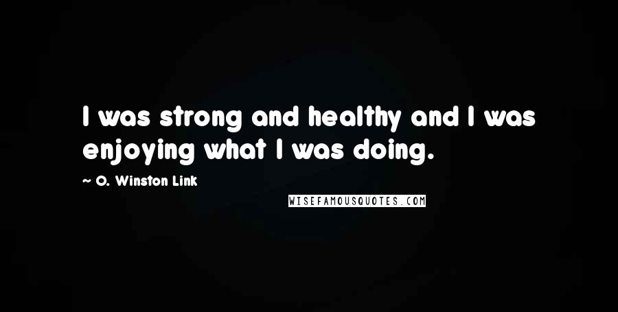 O. Winston Link Quotes: I was strong and healthy and I was enjoying what I was doing.