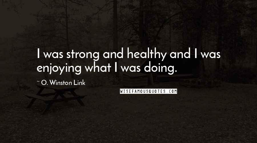 O. Winston Link Quotes: I was strong and healthy and I was enjoying what I was doing.