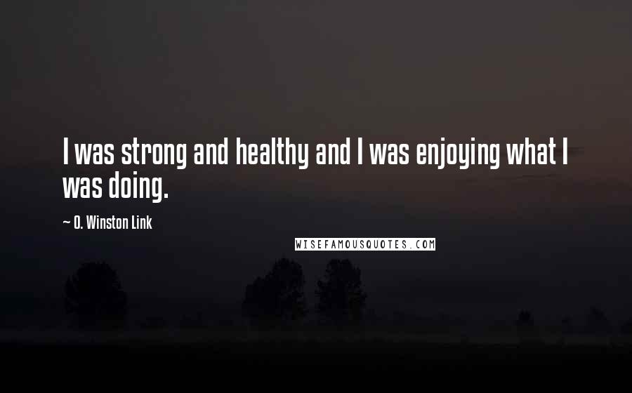 O. Winston Link Quotes: I was strong and healthy and I was enjoying what I was doing.