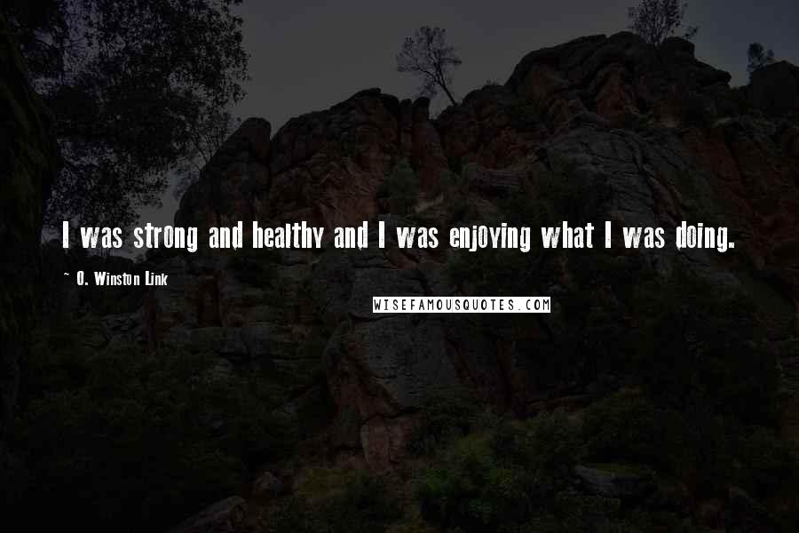 O. Winston Link Quotes: I was strong and healthy and I was enjoying what I was doing.