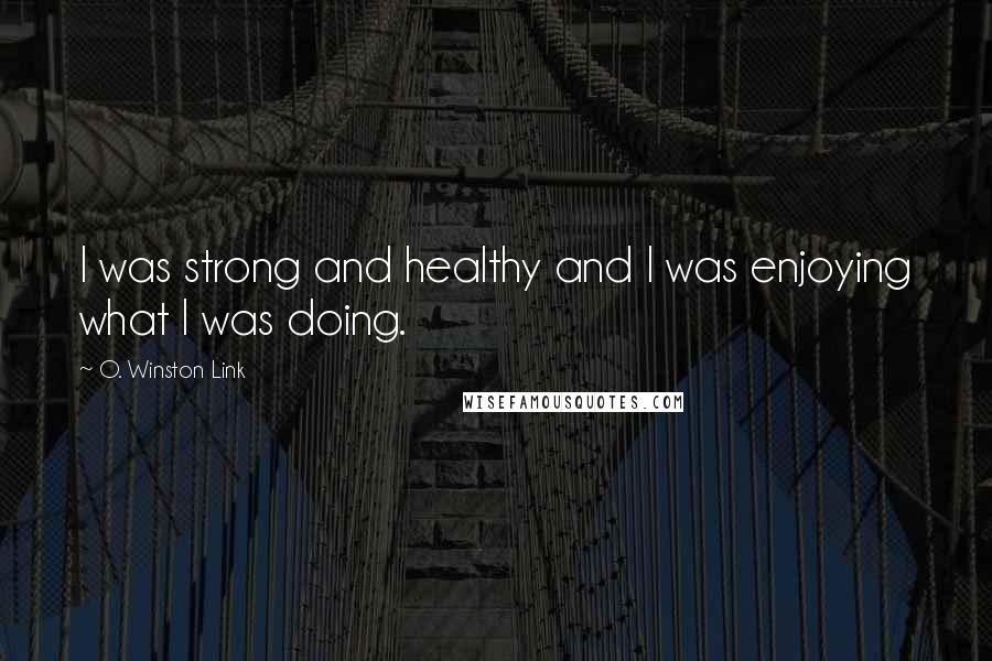 O. Winston Link Quotes: I was strong and healthy and I was enjoying what I was doing.