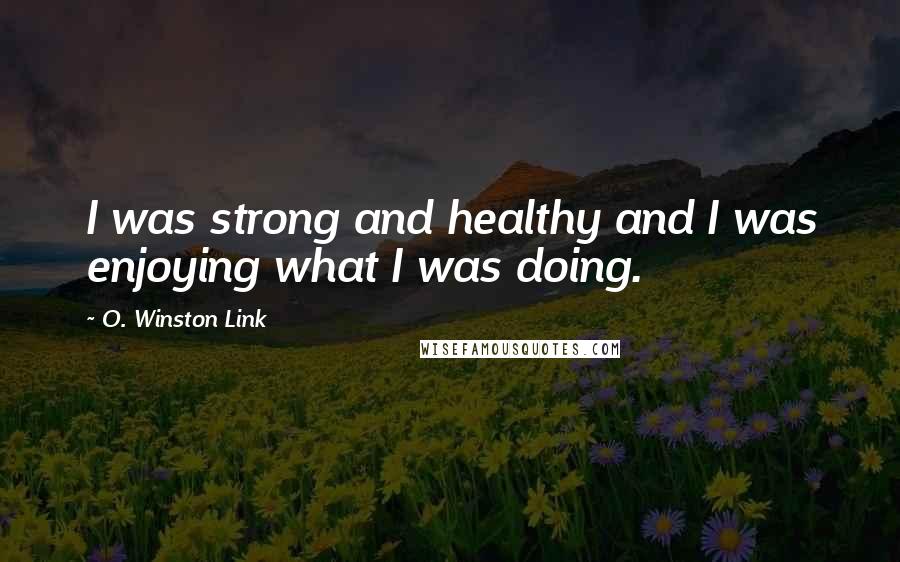O. Winston Link Quotes: I was strong and healthy and I was enjoying what I was doing.