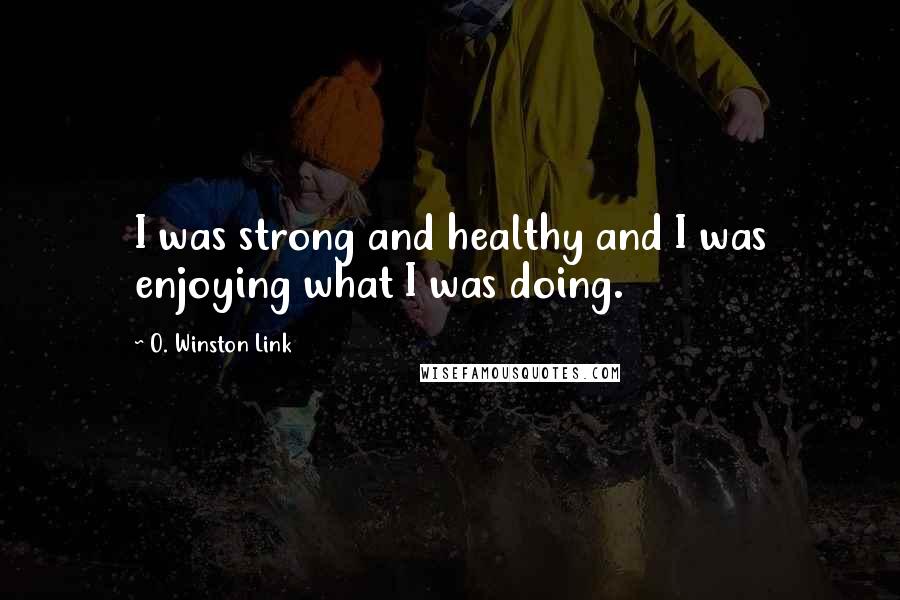 O. Winston Link Quotes: I was strong and healthy and I was enjoying what I was doing.