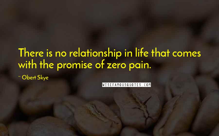 Obert Skye Quotes: There is no relationship in life that comes with the promise of zero pain.