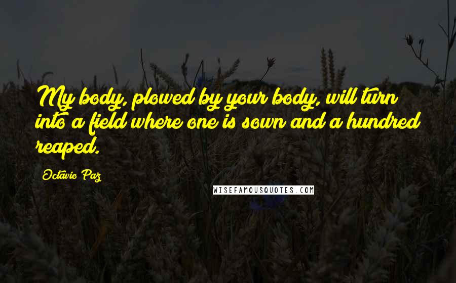 Octavio Paz Quotes: My body, plowed by your body, will turn into a field where one is sown and a hundred reaped.