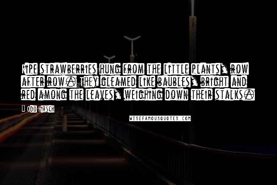 Odo Hirsch Quotes: Ripe strawberries hung from the little plants, row after row. They gleamed like baubles, bright and red among the leaves, weighing down their stalks.