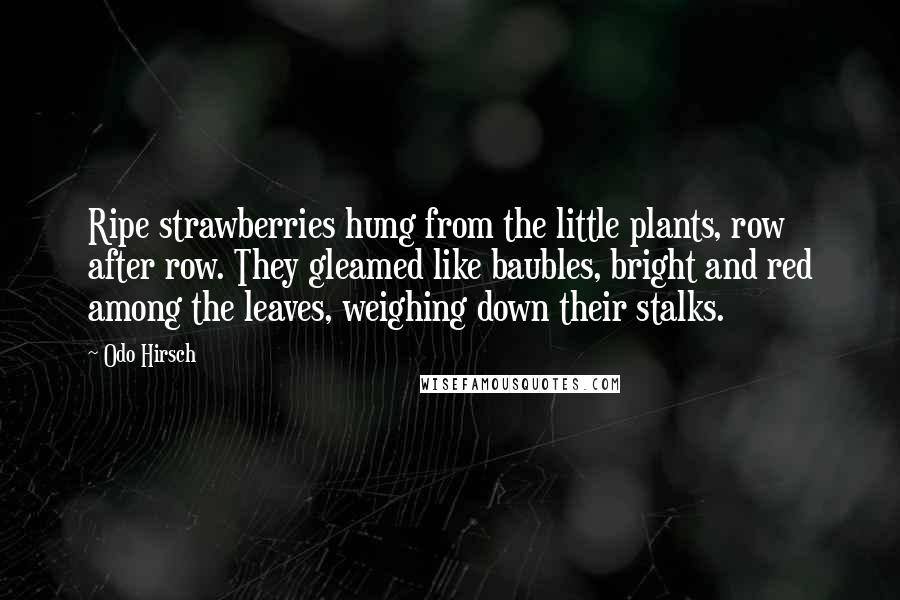 Odo Hirsch Quotes: Ripe strawberries hung from the little plants, row after row. They gleamed like baubles, bright and red among the leaves, weighing down their stalks.