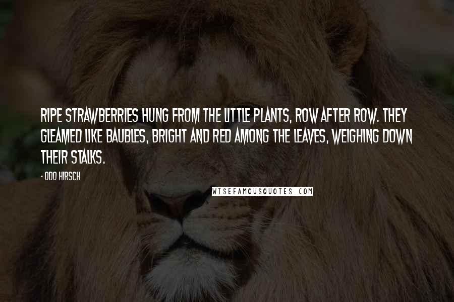 Odo Hirsch Quotes: Ripe strawberries hung from the little plants, row after row. They gleamed like baubles, bright and red among the leaves, weighing down their stalks.