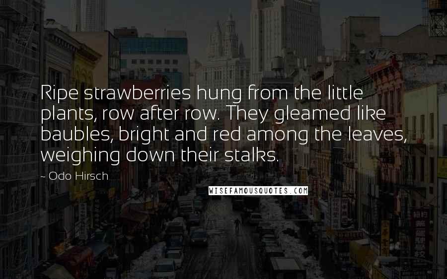 Odo Hirsch Quotes: Ripe strawberries hung from the little plants, row after row. They gleamed like baubles, bright and red among the leaves, weighing down their stalks.