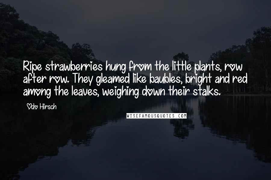 Odo Hirsch Quotes: Ripe strawberries hung from the little plants, row after row. They gleamed like baubles, bright and red among the leaves, weighing down their stalks.