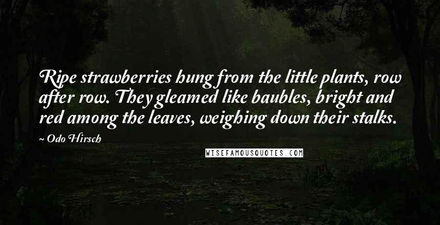 Odo Hirsch Quotes: Ripe strawberries hung from the little plants, row after row. They gleamed like baubles, bright and red among the leaves, weighing down their stalks.