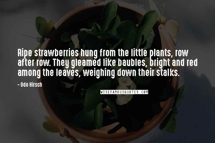 Odo Hirsch Quotes: Ripe strawberries hung from the little plants, row after row. They gleamed like baubles, bright and red among the leaves, weighing down their stalks.