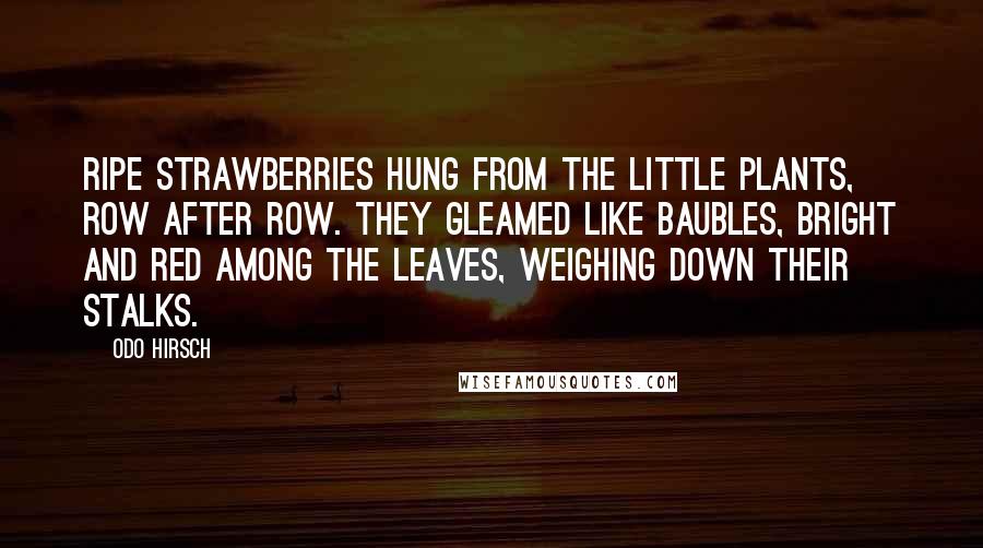 Odo Hirsch Quotes: Ripe strawberries hung from the little plants, row after row. They gleamed like baubles, bright and red among the leaves, weighing down their stalks.