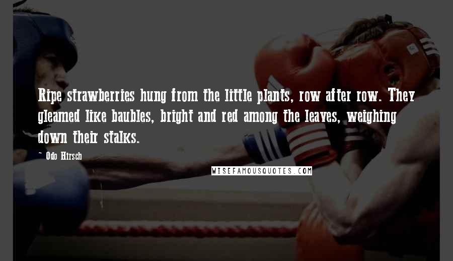 Odo Hirsch Quotes: Ripe strawberries hung from the little plants, row after row. They gleamed like baubles, bright and red among the leaves, weighing down their stalks.