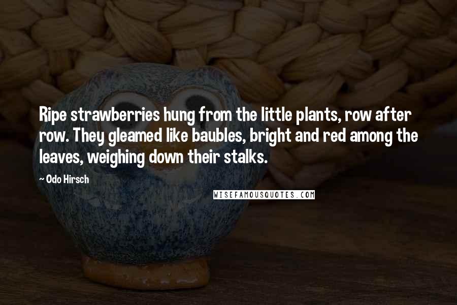 Odo Hirsch Quotes: Ripe strawberries hung from the little plants, row after row. They gleamed like baubles, bright and red among the leaves, weighing down their stalks.