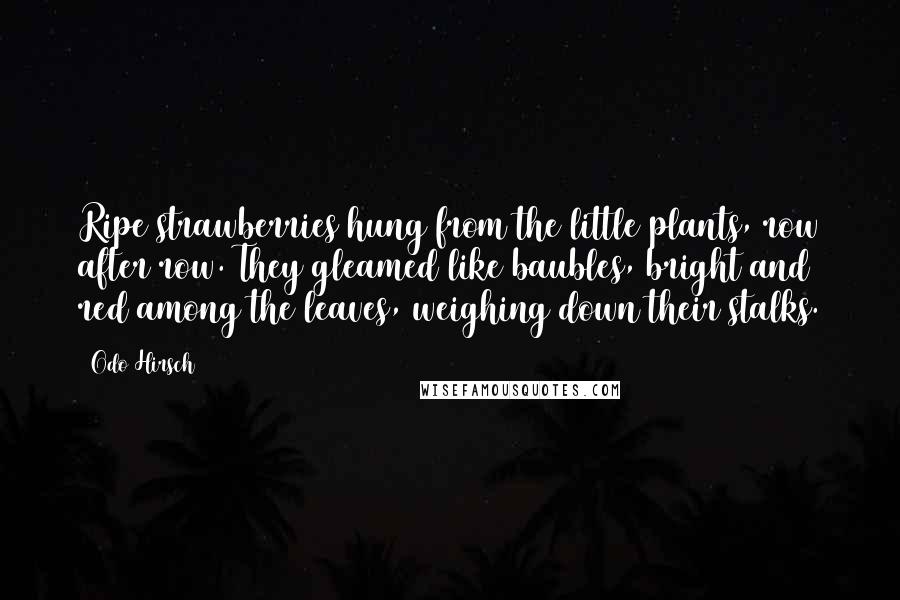 Odo Hirsch Quotes: Ripe strawberries hung from the little plants, row after row. They gleamed like baubles, bright and red among the leaves, weighing down their stalks.